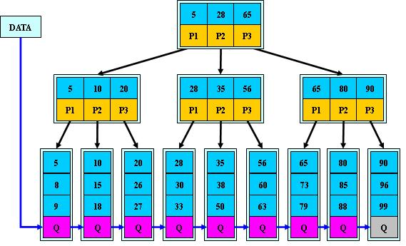 b+树结构图